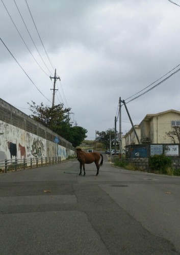 blog_import_54d6076669ebf