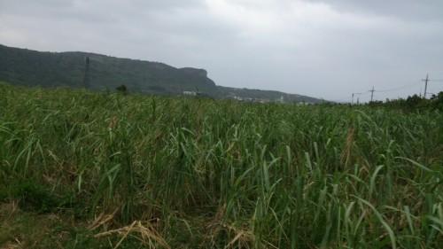 blog_import_54d6076f6ec2a