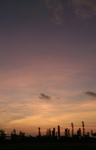 blog_import_54d6078c99c64