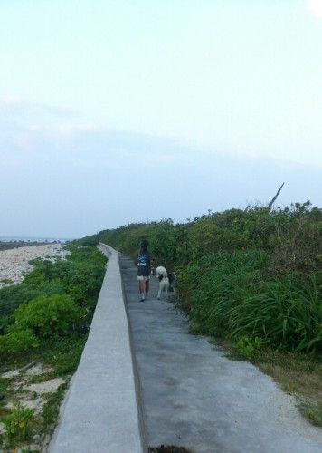 blog_import_54d607ca25880