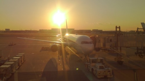 blog_import_54d60924e98dc