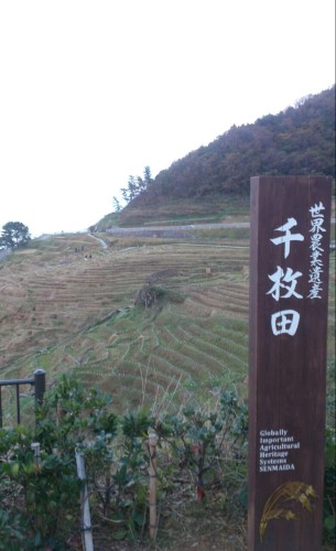 blog_import_54d6094a69b7a