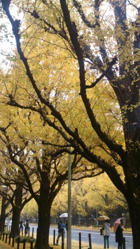 blog_import_54d6095b20b70