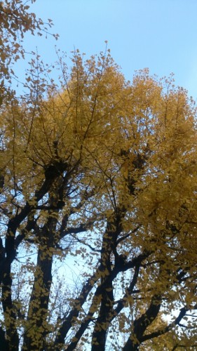 blog_import_54d6096c50b9b