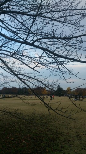 blog_import_54d60983164cd