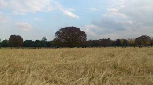 blog_import_54d609865b01d