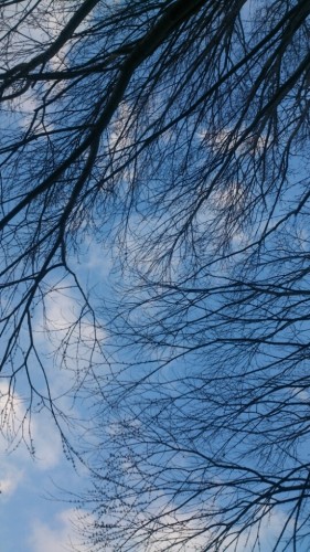 blog_import_54d6098aec900