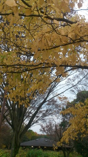 blog_import_54d60991024b7