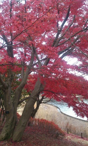 blog_import_54d6099c2ca17