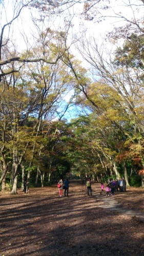 blog_import_54d609d405019