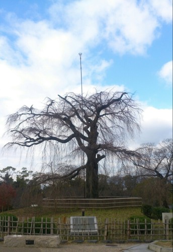 blog_import_54d609eb6d66e