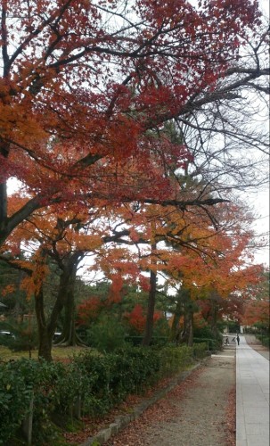 blog_import_54d609f613557