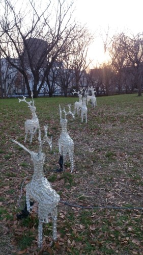 blog_import_54d60a7fcbdc0