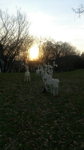 blog_import_54d60a83739be