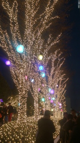 blog_import_54d60aa77d3bf