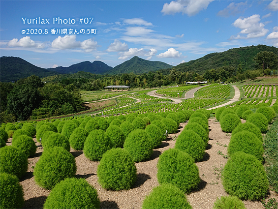 Yurilax【ユリラックス】愛媛県松山市ヨガ