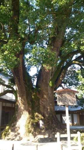 o0719128013128353412