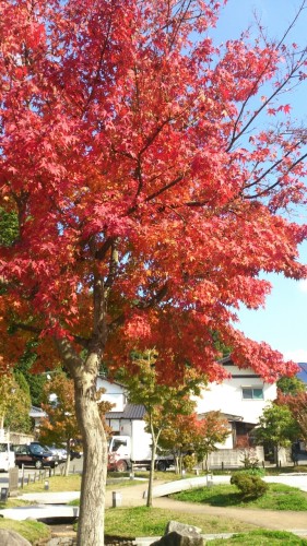 o0719128013128580097